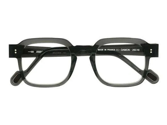Lunettes de vue Anne et Valentin Damon acétate gris - vue de face