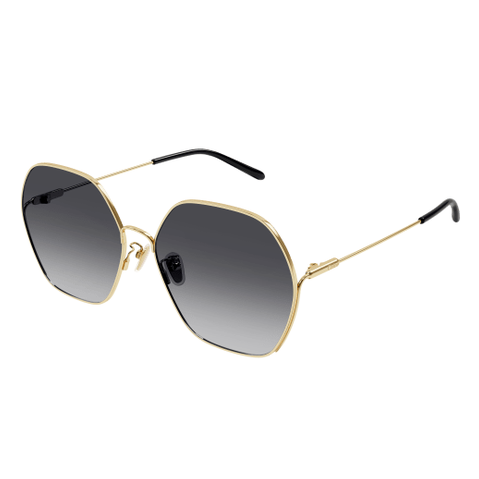 Chloé CH0169SA