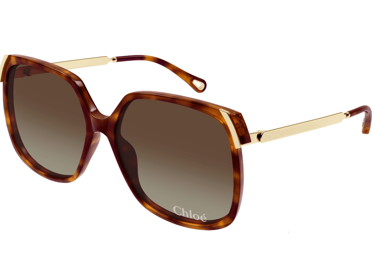 Chloé CH0286S