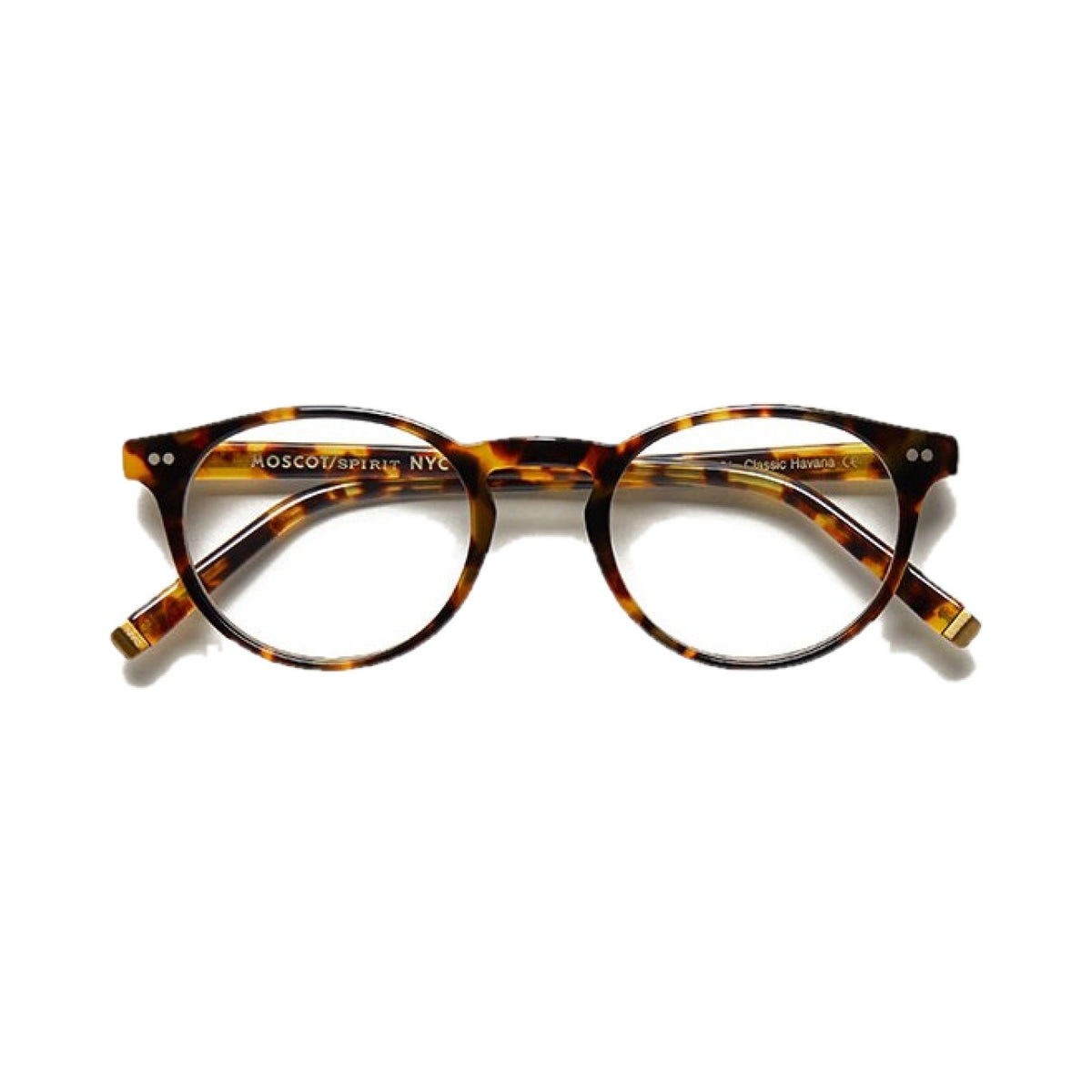 Lunettes de vue Moscot Frankie acétate écaille havana - vue de face