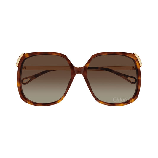 Lunettes de soleil Chloé CH0286S acétate écaille - vue de face