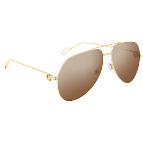 Cartier CT0110S
