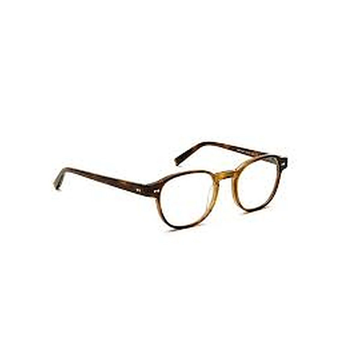 Lunettes de vue Moscot Arthur acétate marron tabacco - vue de face